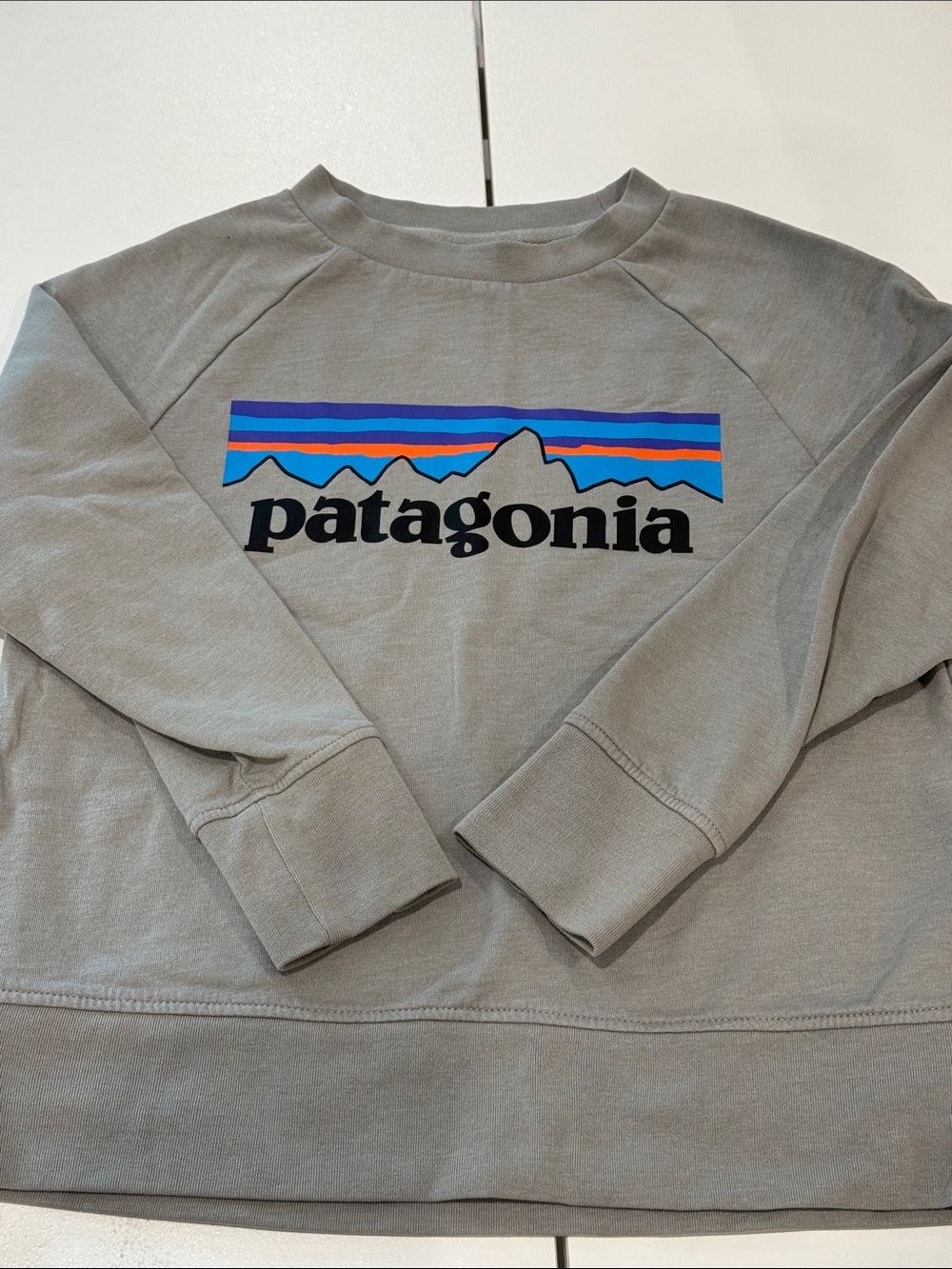 Patagonia kids Gray Logo Crewneck Sweatshirt